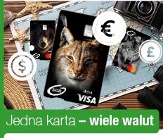 WIELOWALUTOWOŚĆ